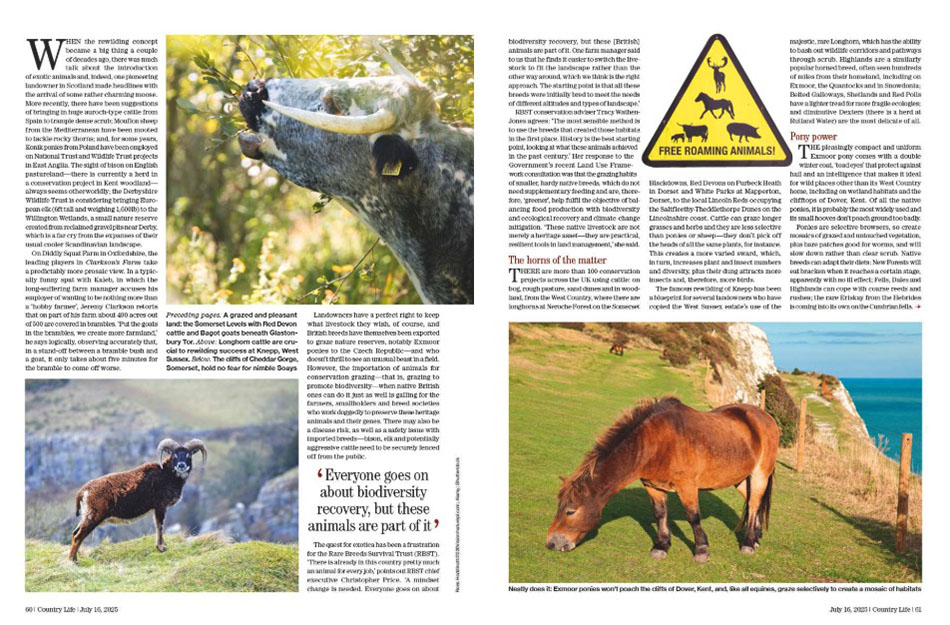 Spreads from Country Life 16 July 2025