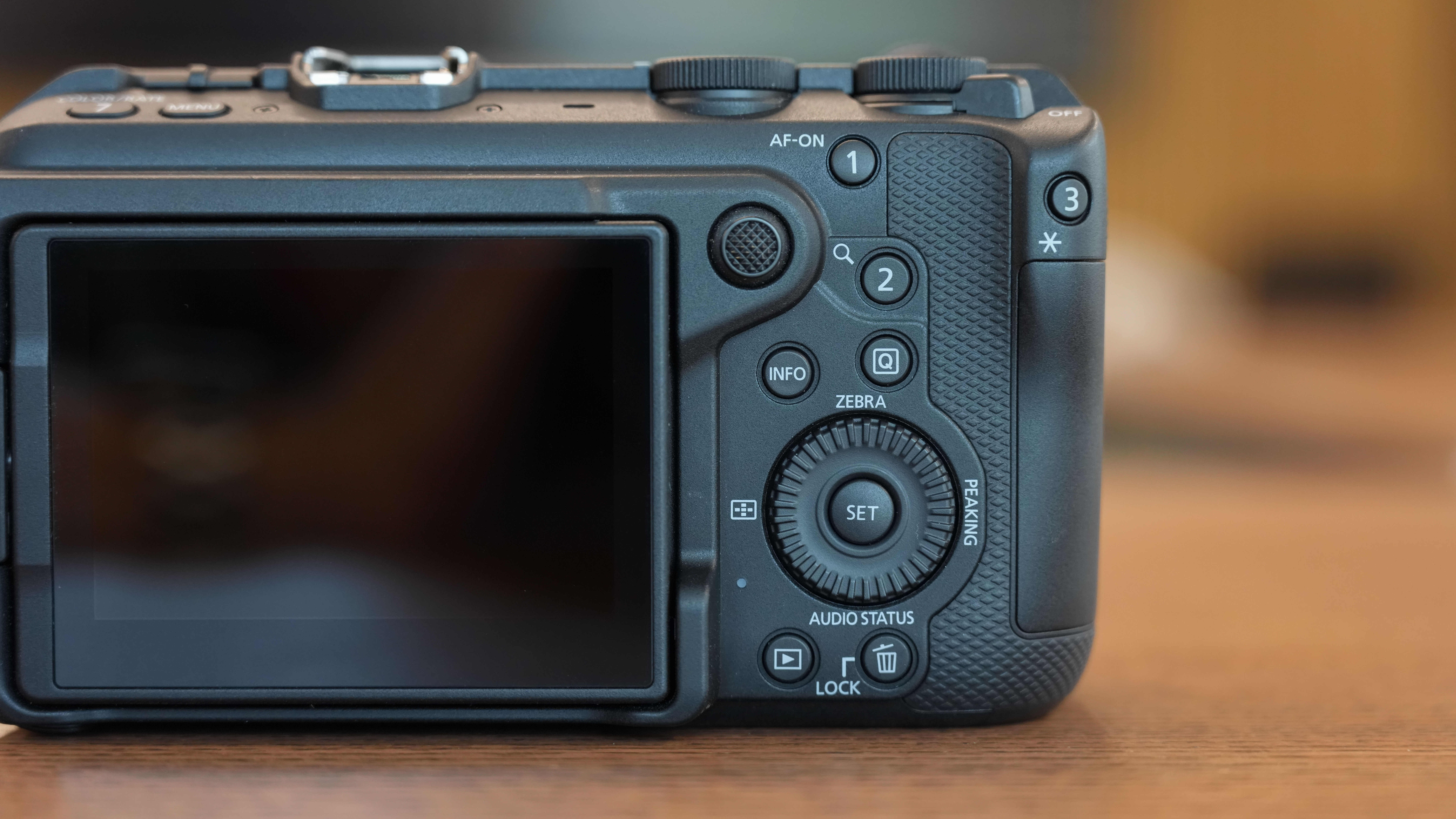 Canon EOS R6 V on a wooden surface