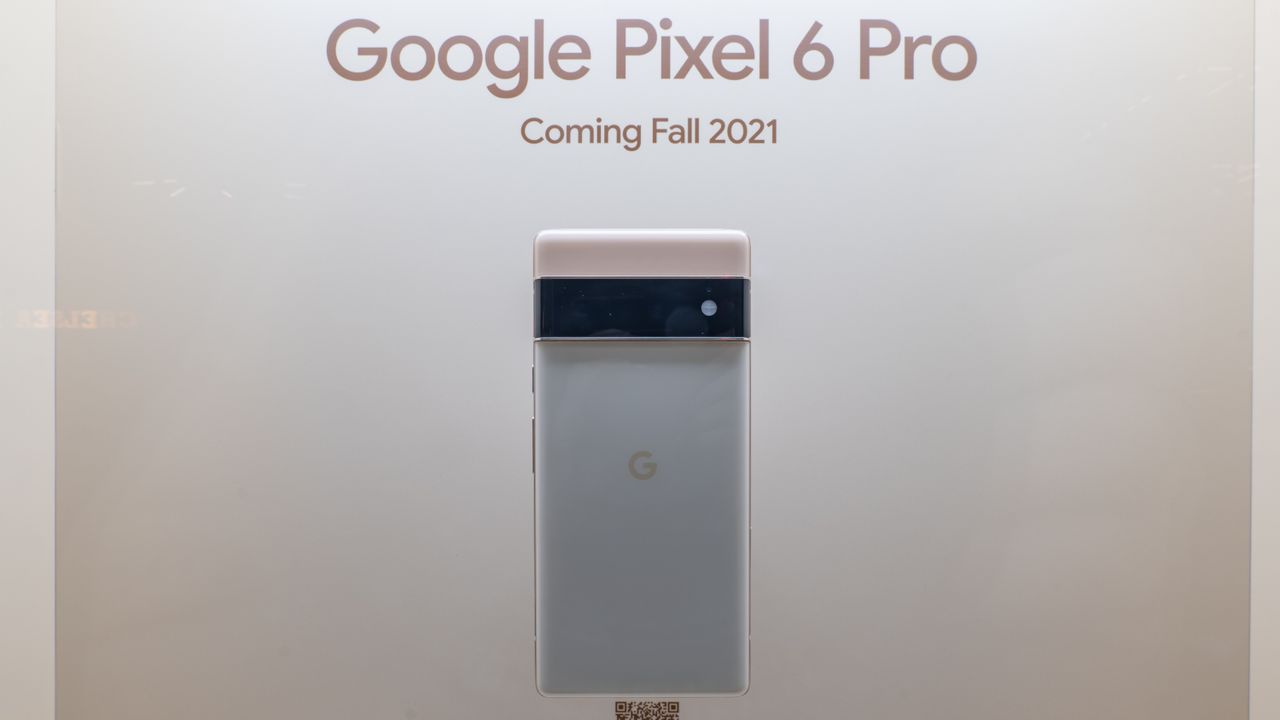 Google Pixel 6 phones on display