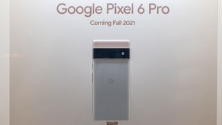 Google Pixel 6 Smartphones im Display