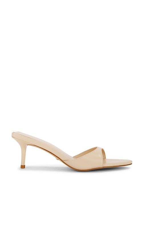 Chad Sandal