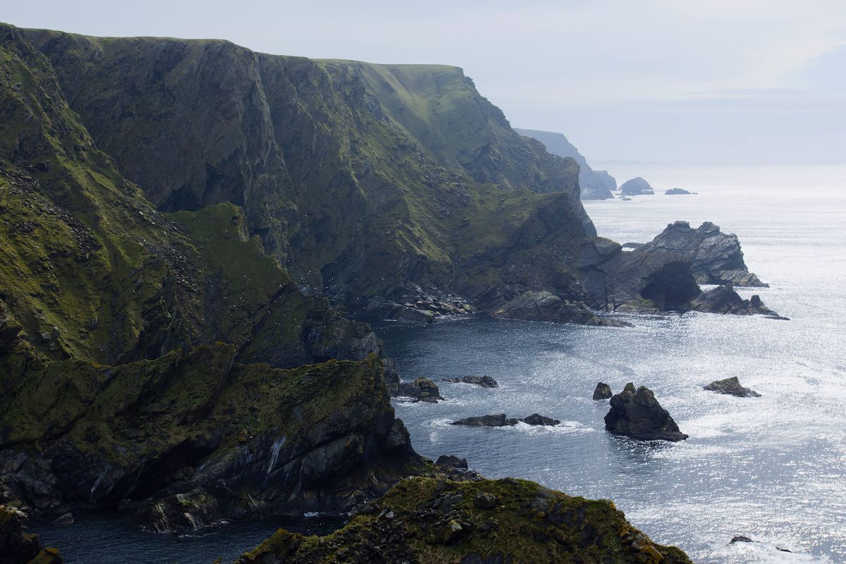 Shetland crags