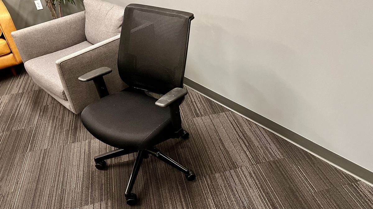 Oak Hollow Reina Office Chair review Oak Hollow Reina Office Chair review