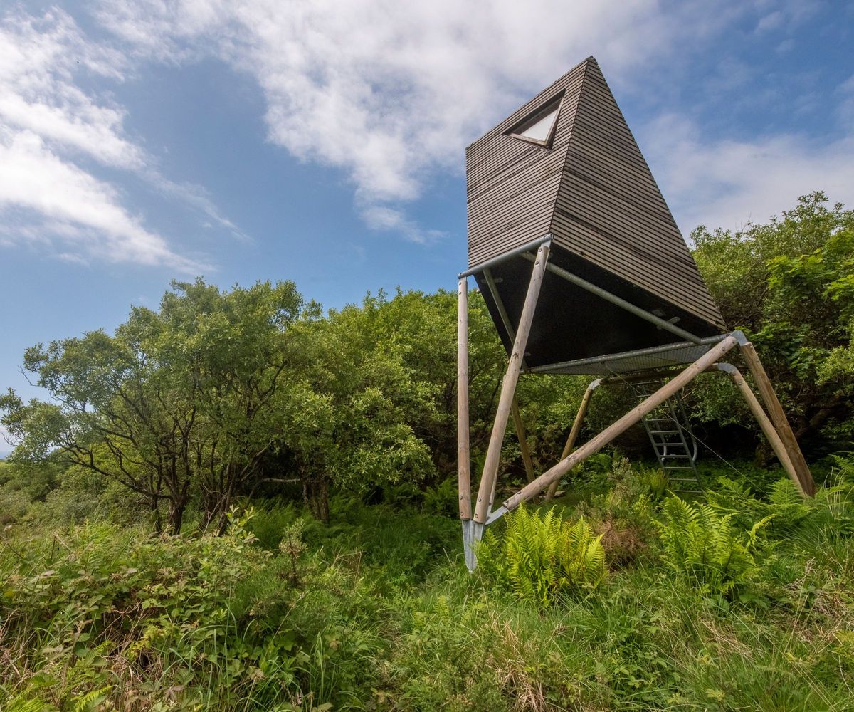A modern, angular treehouse with slatted wooden walls and tall stilts, accessed by a small ladder, surrounded by lush greenery.