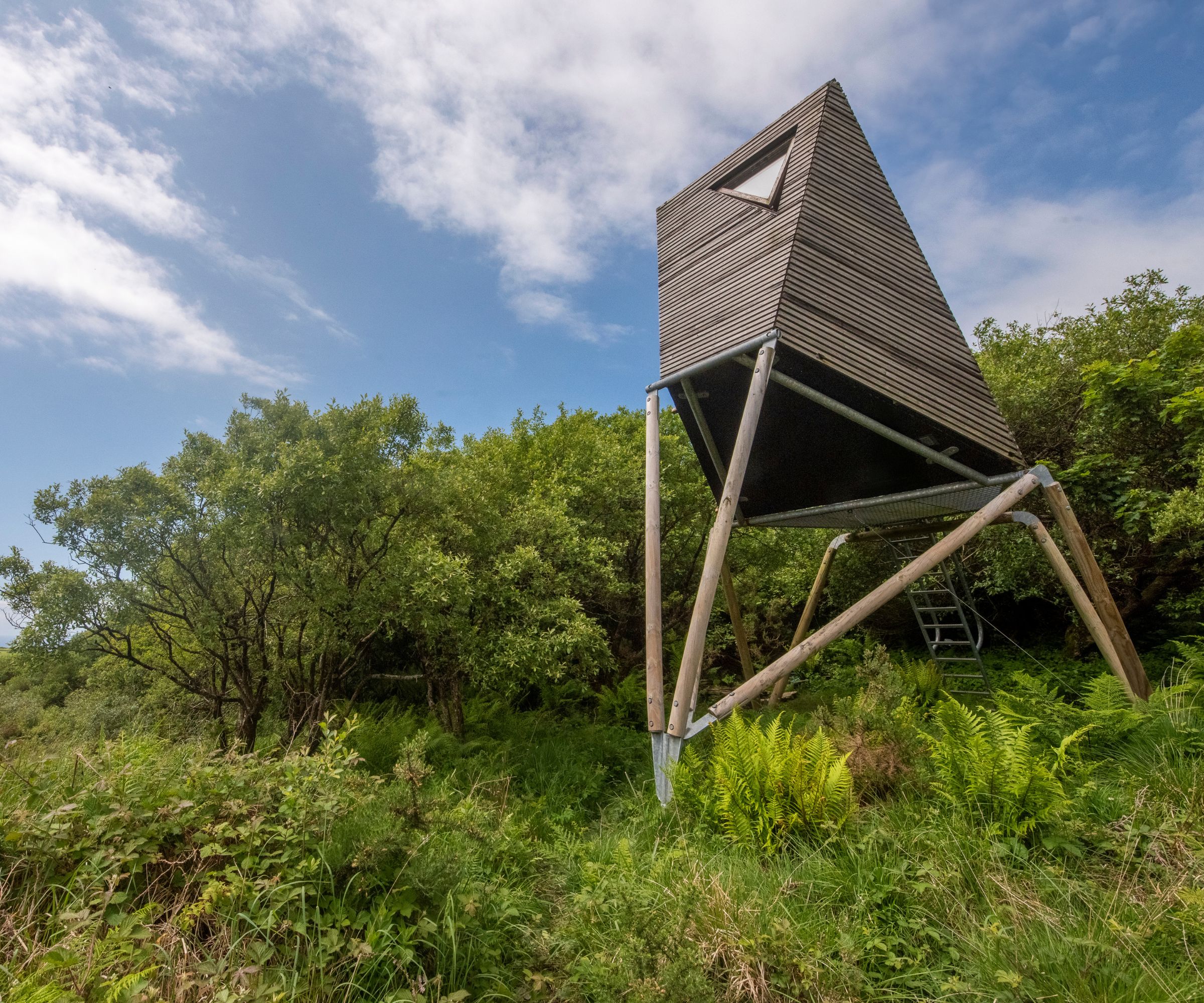 A modern, angular treehouse with slatted wooden walls and tall stilts, accessed by a small ladder, surrounded by lush greenery.