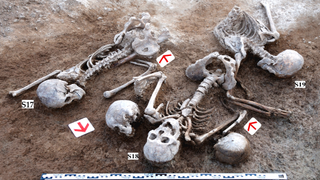 Five human skeletons arranged in a sort of semi-circle, partially excavated from brown dirt