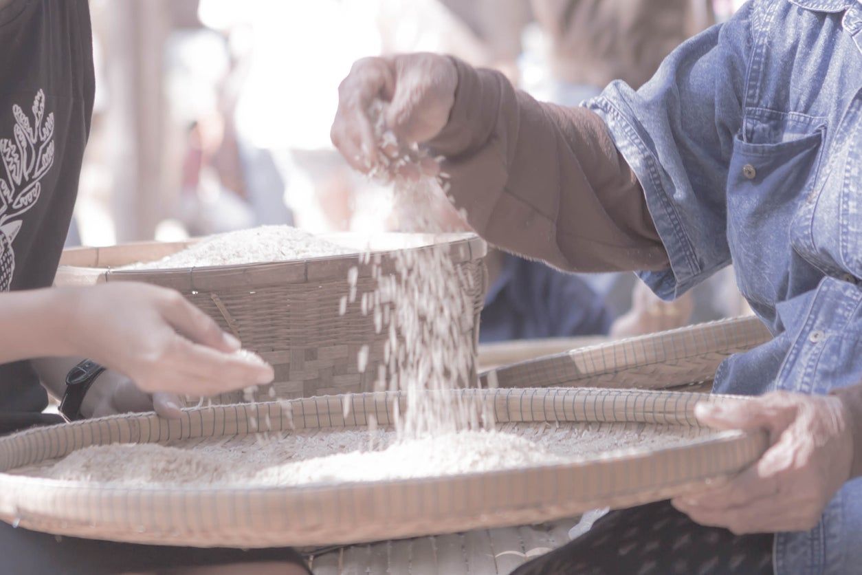 Winnowing Of Rice