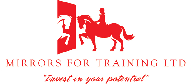 MIrrors-for-training-logo