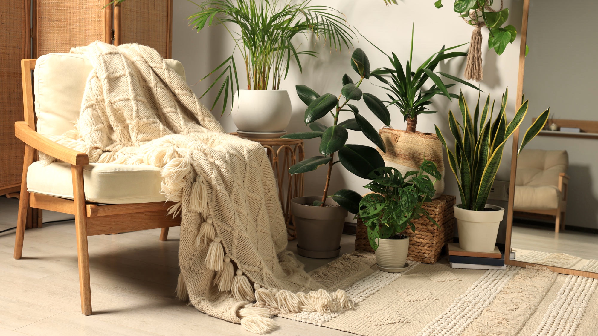 houseplants and chair with pale throw and soothing decor