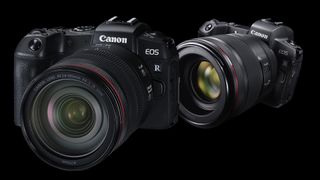 Canon EOS R vs RP