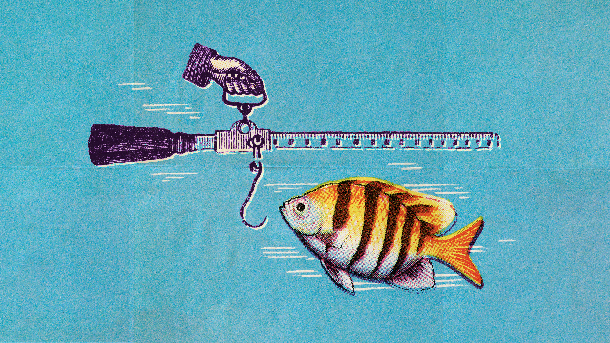  Fish around the world are shrinking 