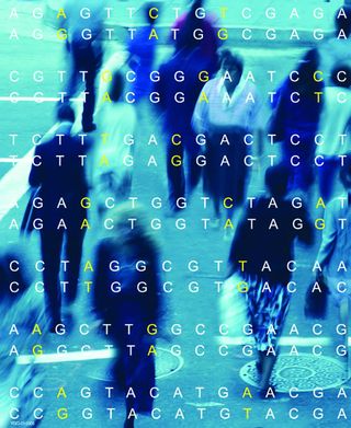 images of humans and the genetic code