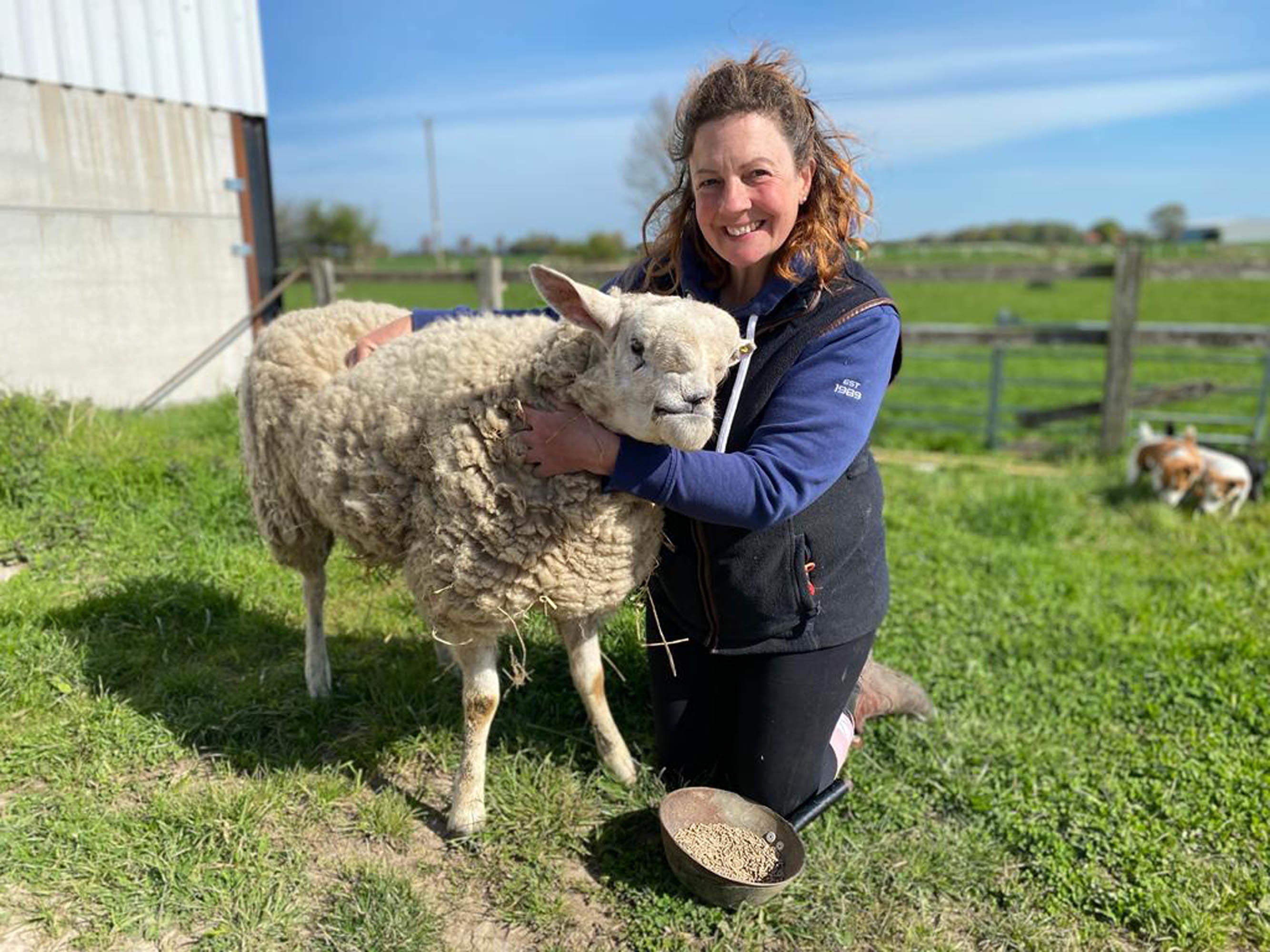 TV tonight Cliff the sheep needs to turn that frown upside down