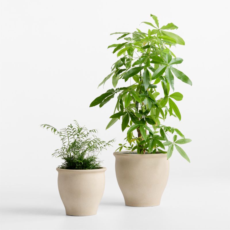 Veridia 15" X 16.5" Sand Indoor/outdoor Ficonstone Planter