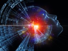 consciousness, brain, psychedelic