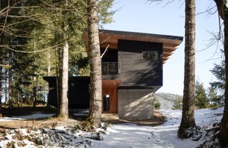 Swift Cabin, Washington, by Ment Architecture