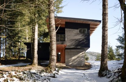 Off-grid cabin in Washington State delights | Wallpaper*