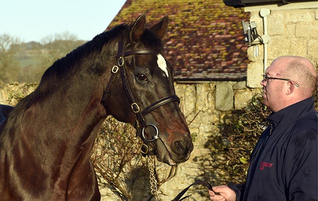 Overbury Stud shoot 02 01 2017