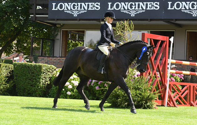 RIHS 25 07 2018