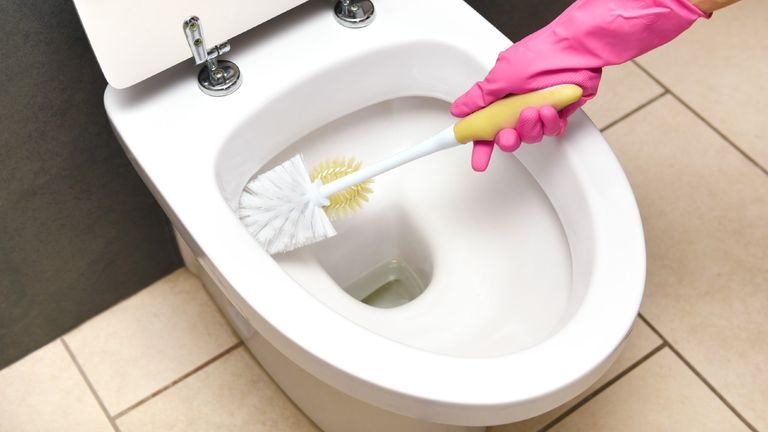 Toilet being cleaned with a brush
