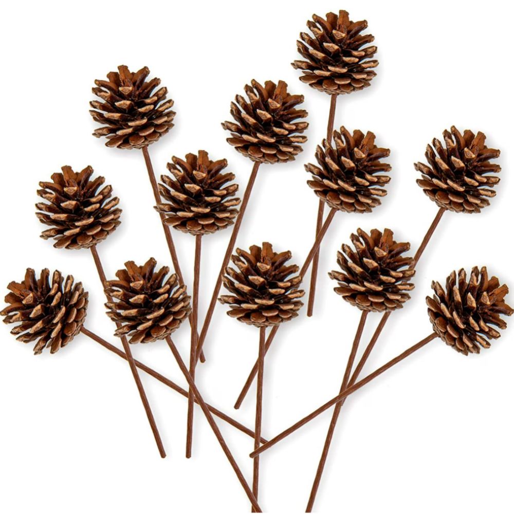 Set of 12 pinecones on wooden picks