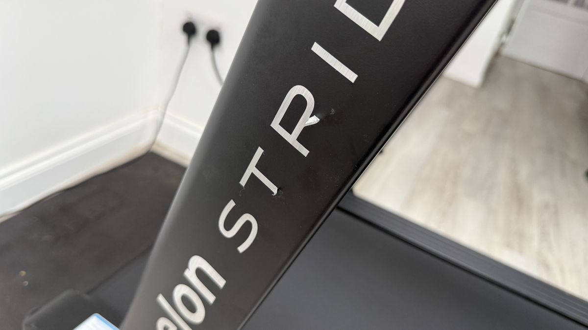 Echelon Stride-6S-10 review images