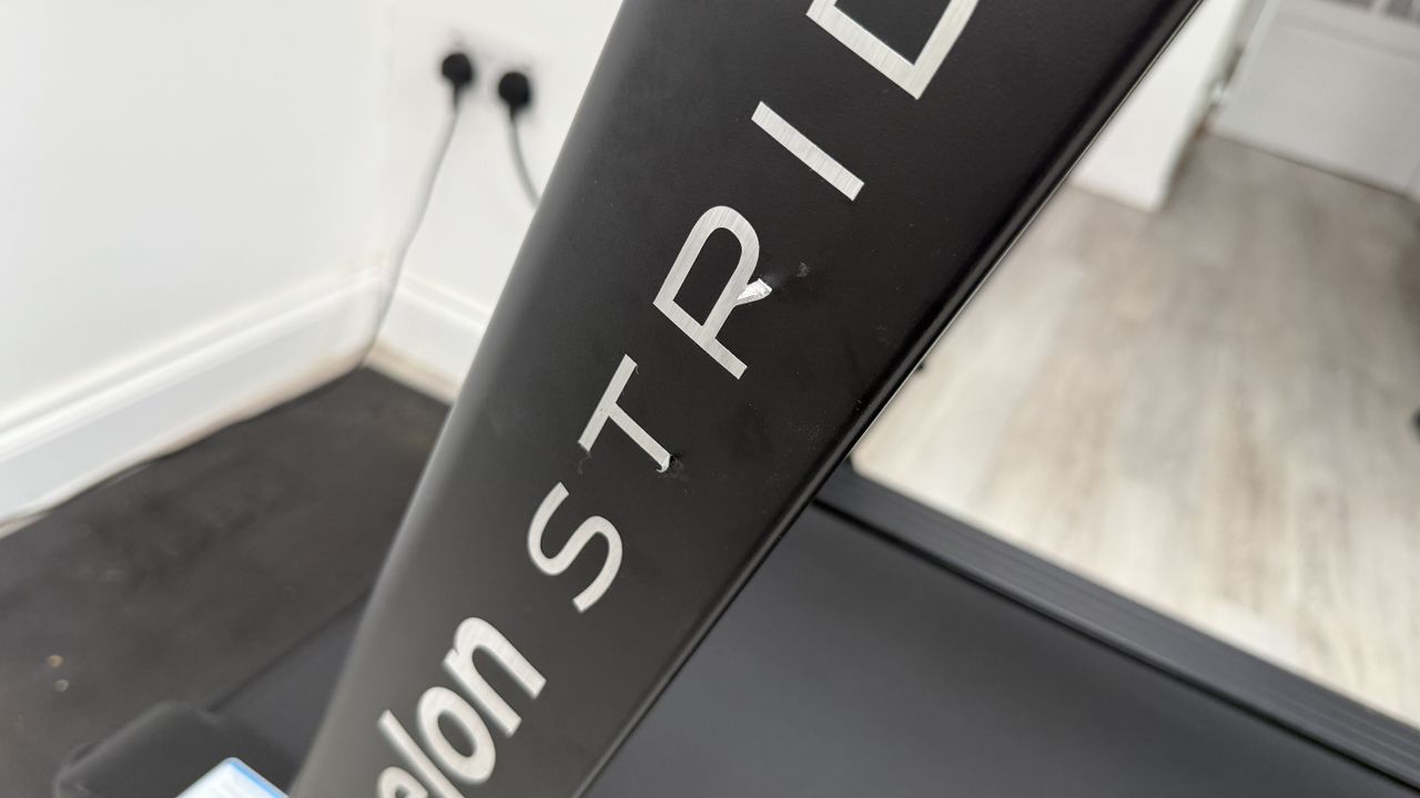 Echelon Stride-6S-10 review images
