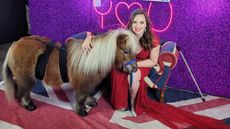 therapy pony
