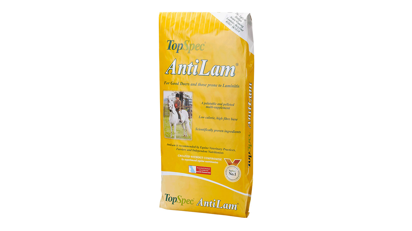 TopSpec AntiLam