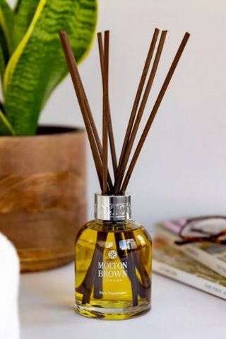Molton Brown Black Peppercorn Aroma Reeds in glass vessel next to plant