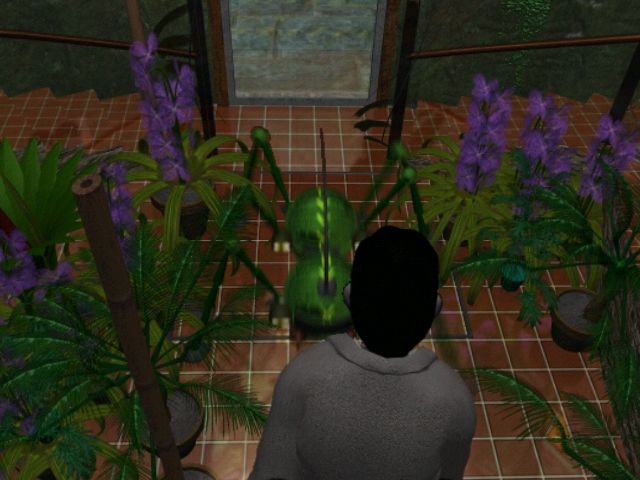 A man in a greenhouse, with a giant bug facing him