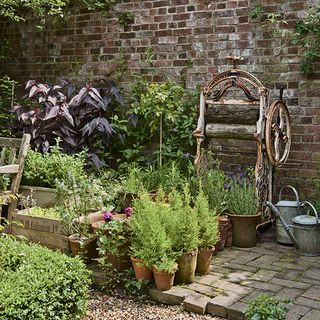brick wall with plants and watering can