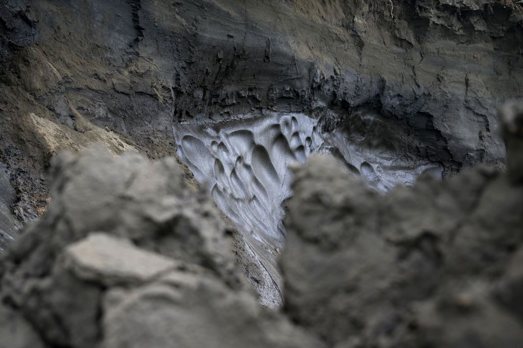 Siberian permafrost.