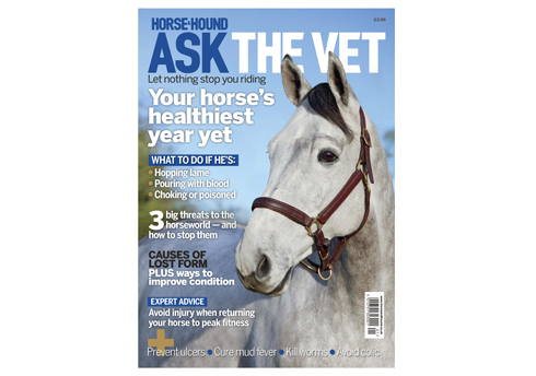 ask-the-vet-cover.jpg