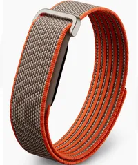 Fitbit Air Fitbit Air