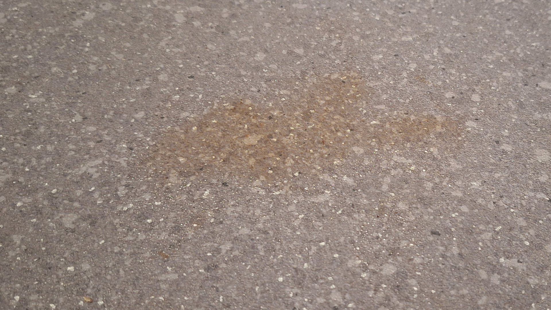 Ketchup smeared on lino before mopping test
