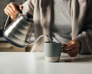 A woman pouring tea into a cup out of a gooseneck kettle