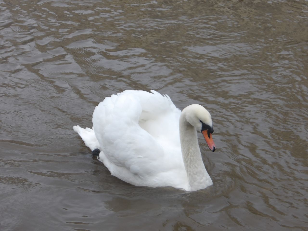 A photo taken on a Kodak PIXPRO WPZ2 compact camera
