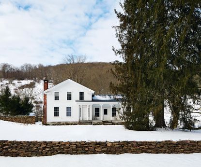 The wonder walls in this New York home do all the talking | Homes & Gardens