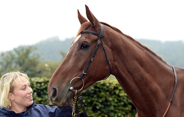 Top Gamble