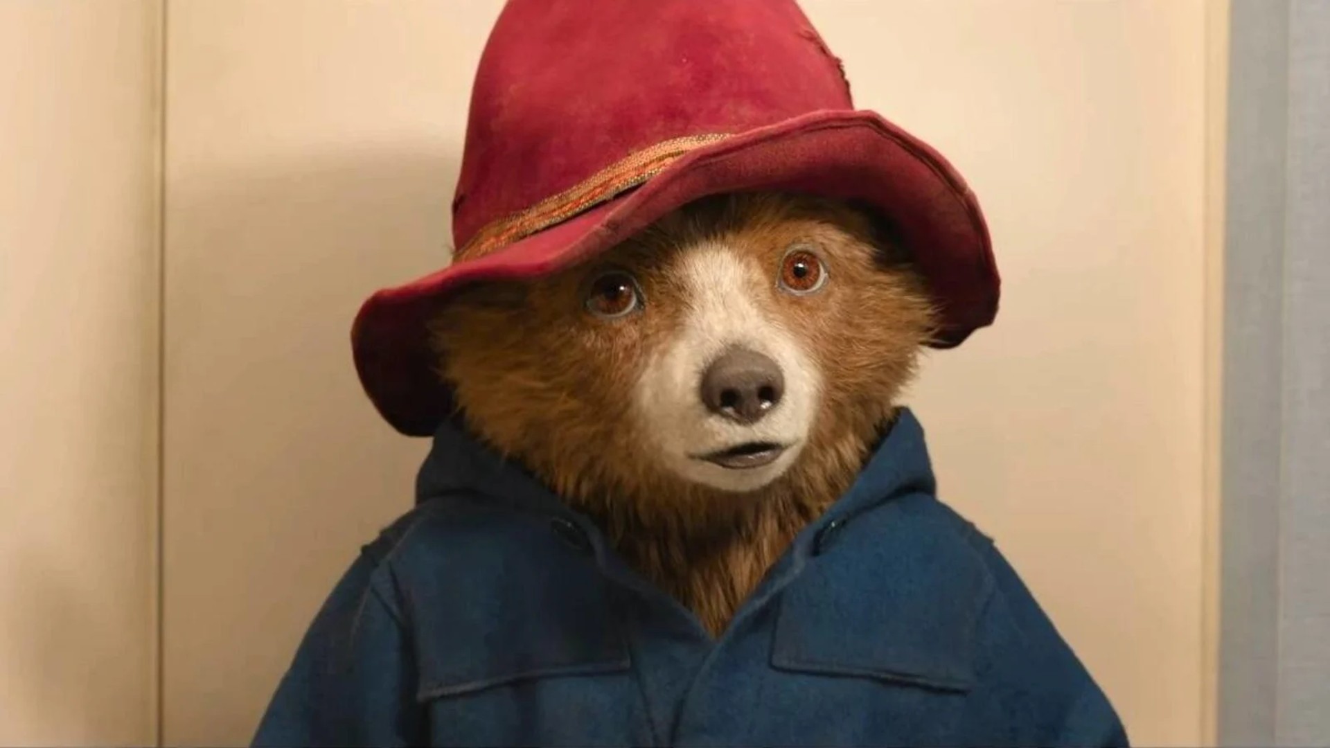 Paddington 4 está en proceso junto con un programa de televisión como parte del intento del oso de convertirse en un "fenómeno cultural mundial".