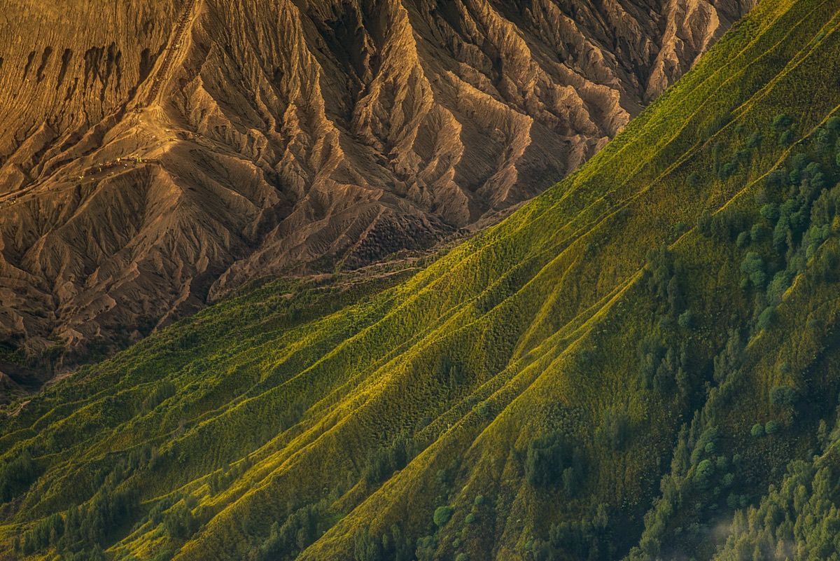 Here, the ridges of Batok and Bromo volcanoes in Indonesia.