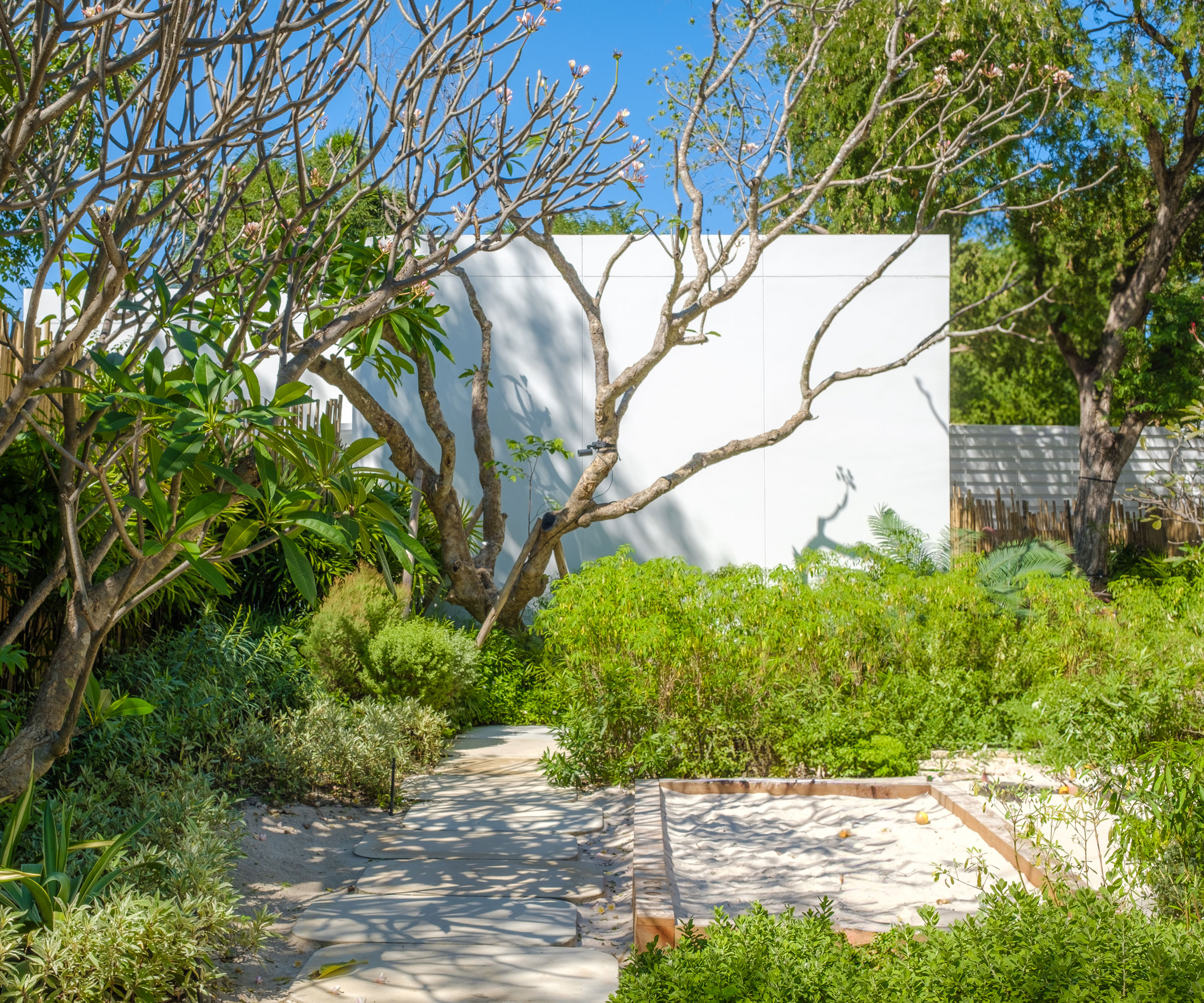 modern garden design with sand, trees and plants