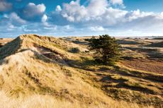 A large area of sand dunes on Holy Island.