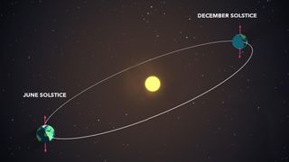 The winter solstice marks the shortest day on the Northern Hemisphere but also the beginning of the slow return of more daylight and warmth.