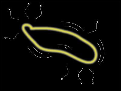 Cosmic-string loops wiggle and oscillate, producing gravitational waves, then slowly shrink as they lose energy until they disappear.