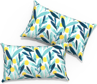 TWLEAR Store Outdoor Lumbar Pillows