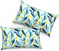 TWLEAR Store Outdoor Lumbar Pillows