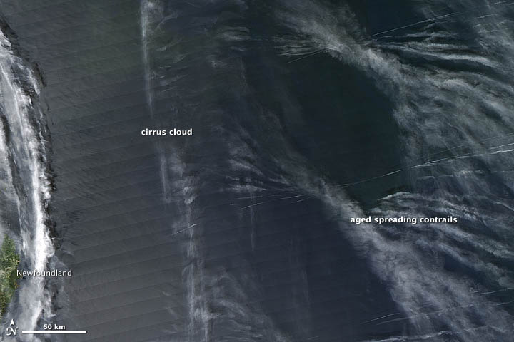 Aircraft contrails spreading in the wind.