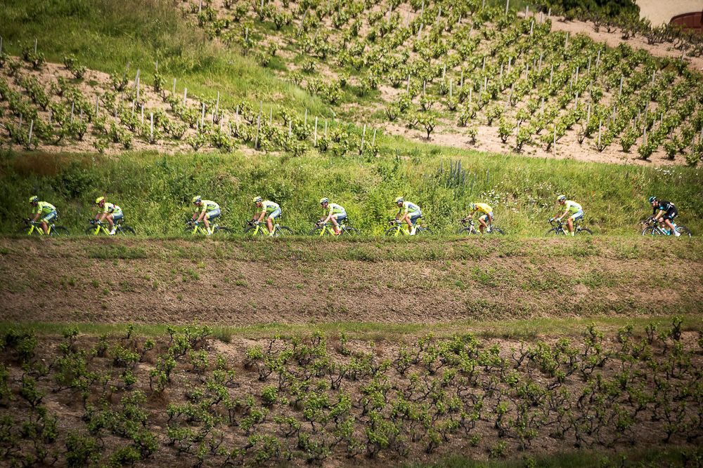 The peloton in action during stage 2 at Criterium du Dauphine